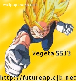 0071122-28800-dragon-ball-z-dbz-vegeta-ssj3-af.jpg