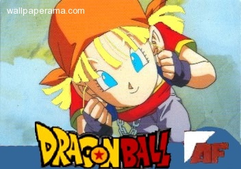 20071122-28775-dragon-ball-z-dbz-pan-ssj-af.jpg