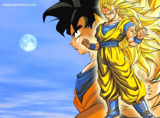 20071122-28778-dragon-ball-z-goku-iii.jpg
