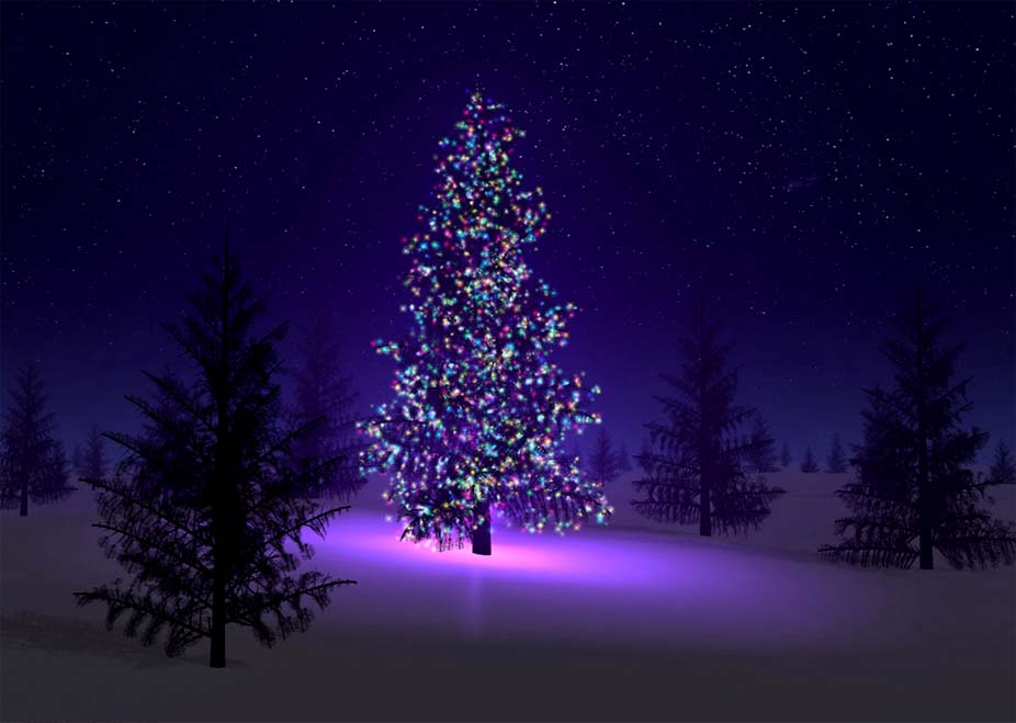 Fondo Wallpaper De Un árbolito De Navidad Con Luces