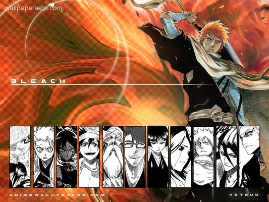 21-5983-bleach-2-1024.jpg