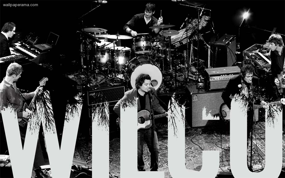 Wilco net worth
