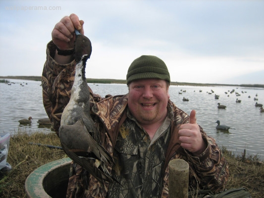 02-430-moose-sprig-.jpg