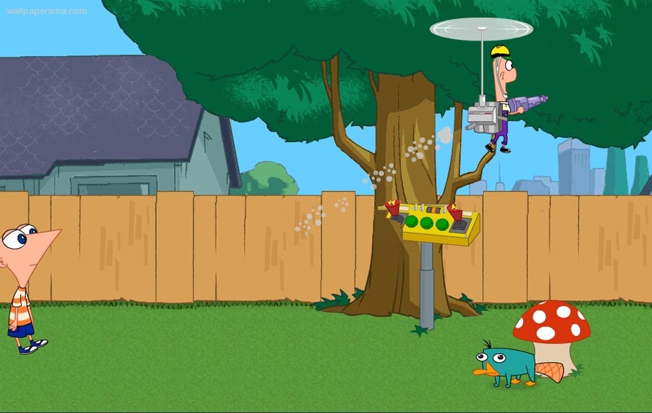 the show disney s phineas and the show disney s phineas and