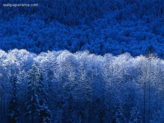 18-5744-winter.jpg|28704