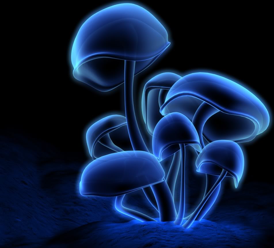 24p-759-blue-mushroom.jpg