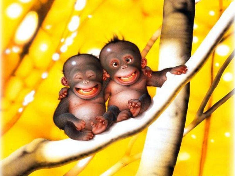 Cute Monkeys Wallpaper