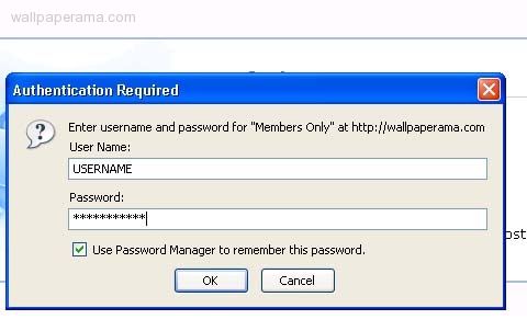 20080820_6288_firefox-password.jpg