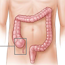 22p-8349-appendix.gif