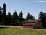 Red Cabin Wallpaper