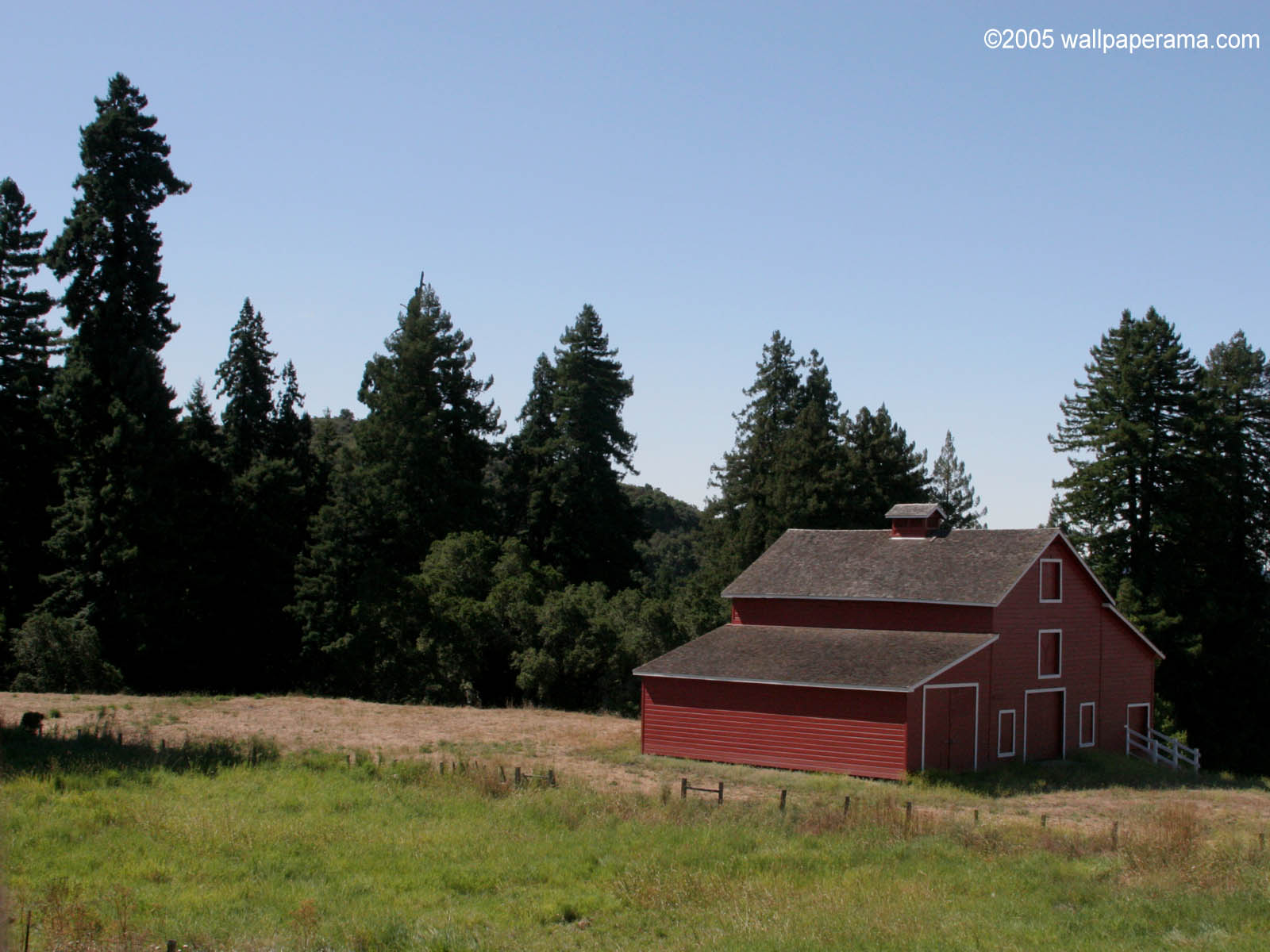 Red Cabin Wallpaper