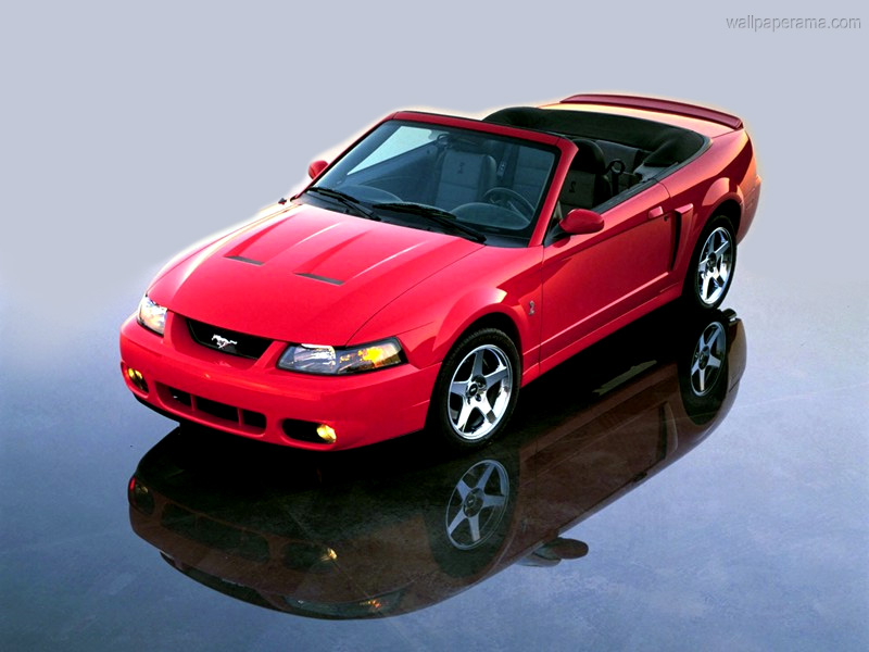 Ford Mustang Cobra Convertible Wallpaper