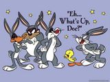 Buggs Bunny Wallpaper