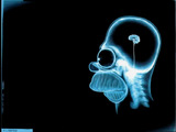 Homers Xray Brain Wallpaper