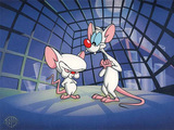 Pinky And The Brain Wallpaper