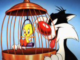 Tweety Bird Wallpaper