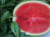 Watermelon Slice Wallpaper