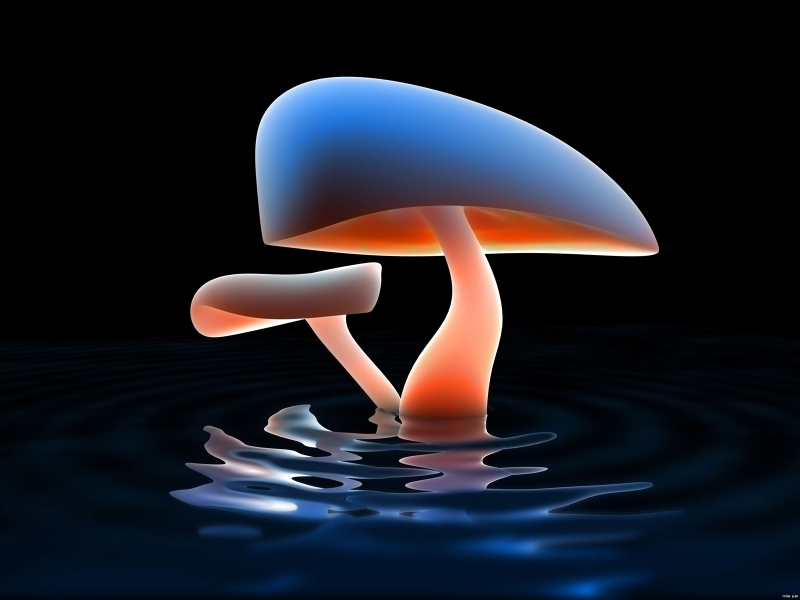 3d Mushroom Wallpaper