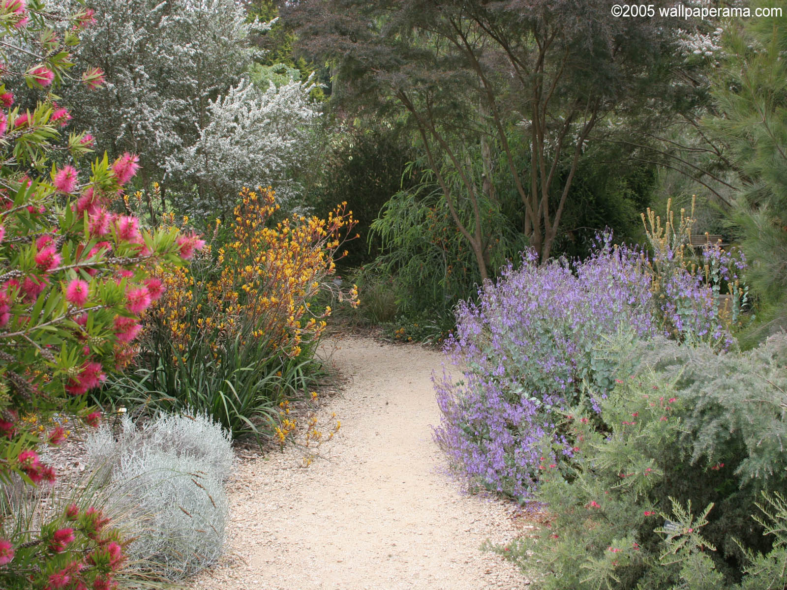 Tranquil Garden Wallpaper Free HD Backgrounds Images Pictures