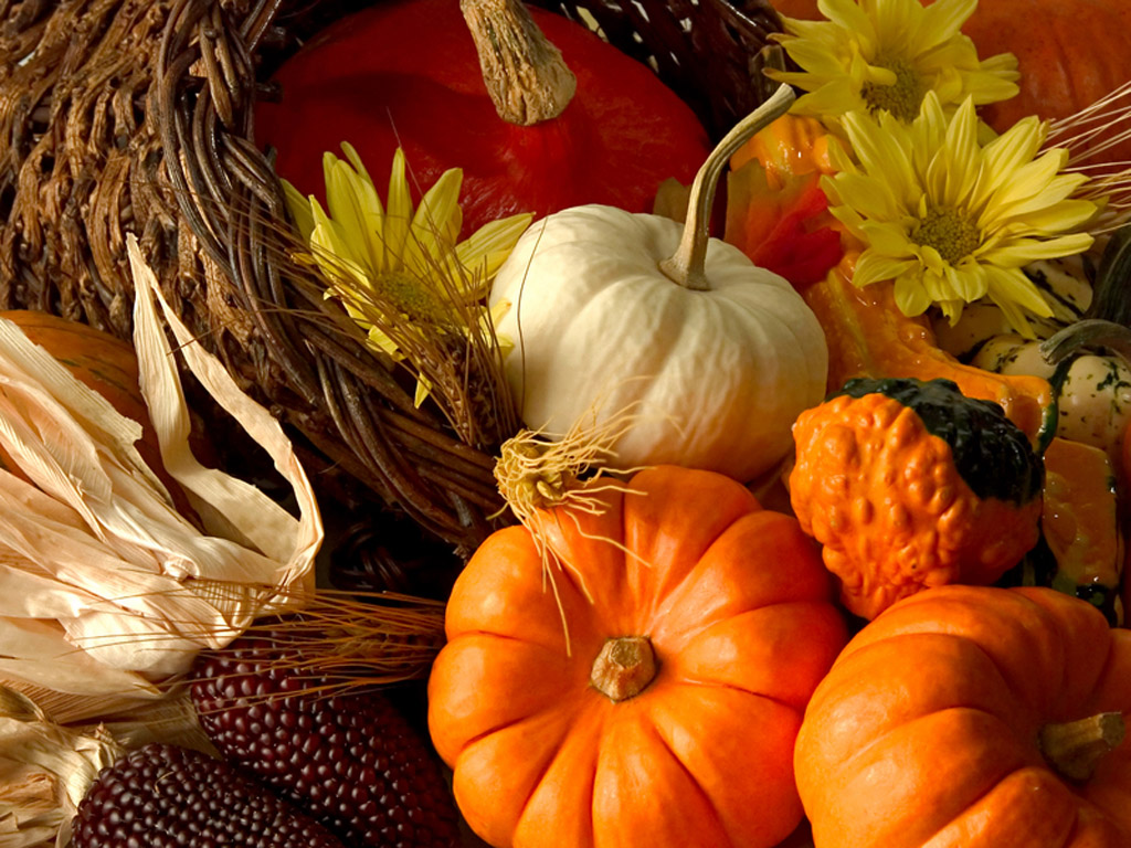 Thanks Giving Wallpaper Free HD Backgrounds Images Pictures