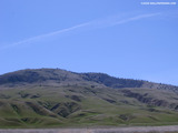 Tejon Ranch Wallpaper