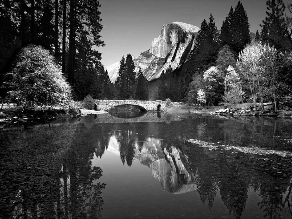 Yosemite Park Lake Wallpaper
