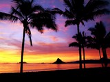 Hawaiian Sunset Wallpaper