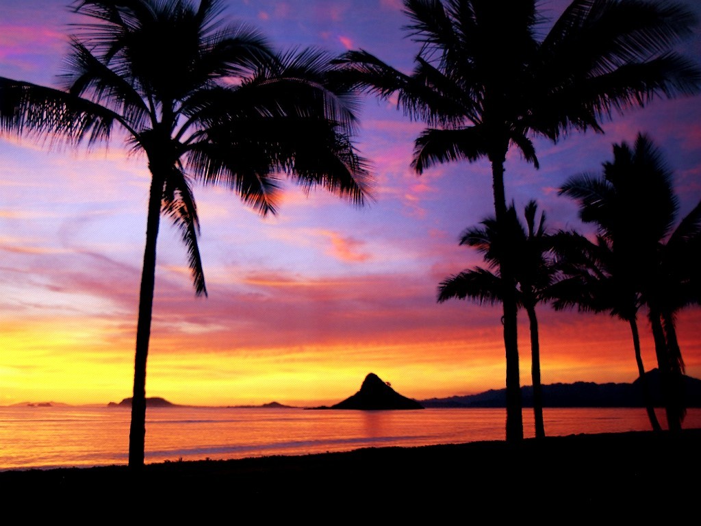 Hawaiian Sunset Wallpaper