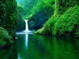 Jungle Water Fall Wallpaper