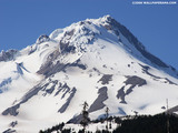 Mount Hood Wallpaper