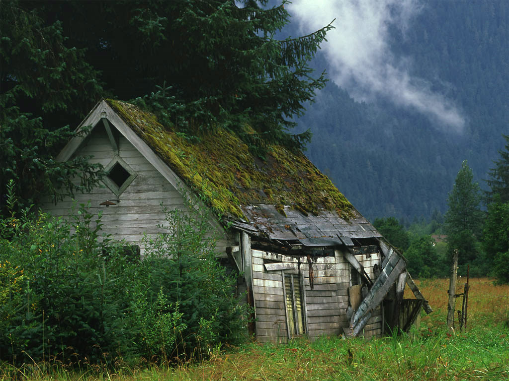 Moutain Cabin Wallpaper