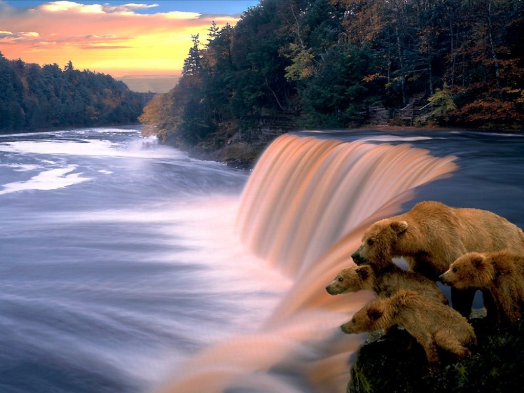 Peaceful Water Fall Wallpaper