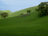 Rolling Hills Wallpaper