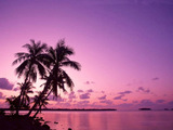 Tropical Sunrise Wallpaper