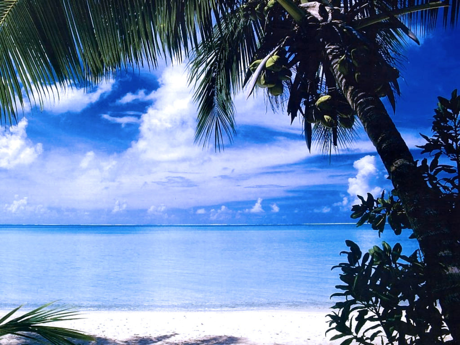 Tropical Water Wallpaper
