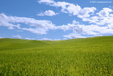 Windows Xp Wallpaper