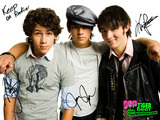 The Jonas Brothers Wallpaper