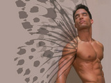 Latin Man Wallpaper