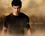 Taylor Lautner Wallpaper