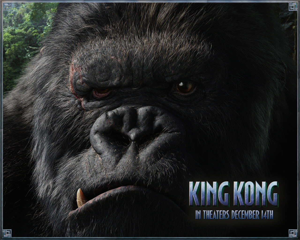 King Kong Ape Wallpaper