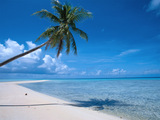 Playa Tropical Wallpaper