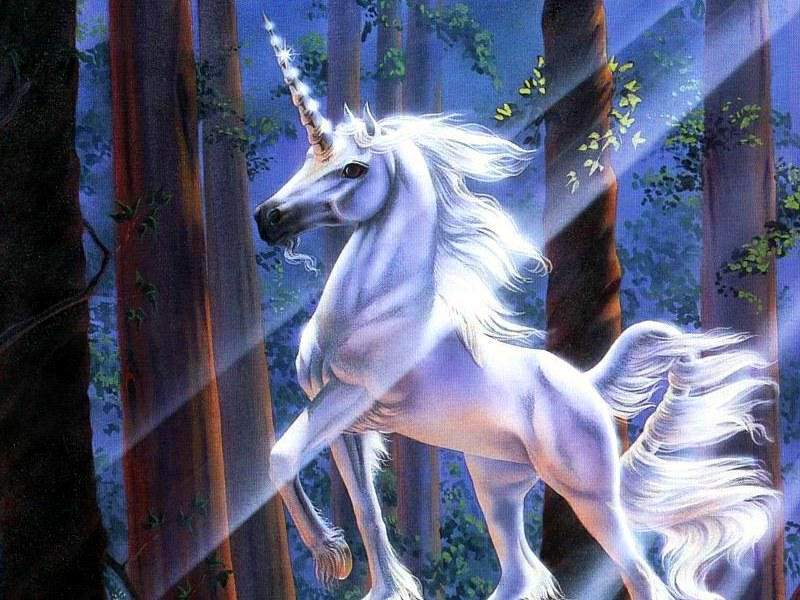 Unicorn Wallpaper