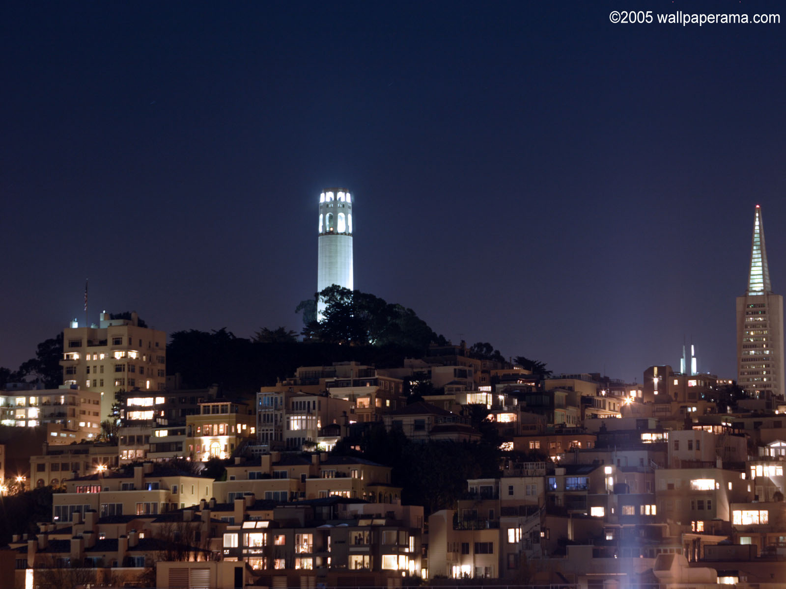 Coit Tower Wallpaper