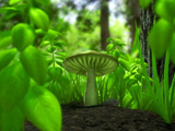 Mushroom Wallpaper