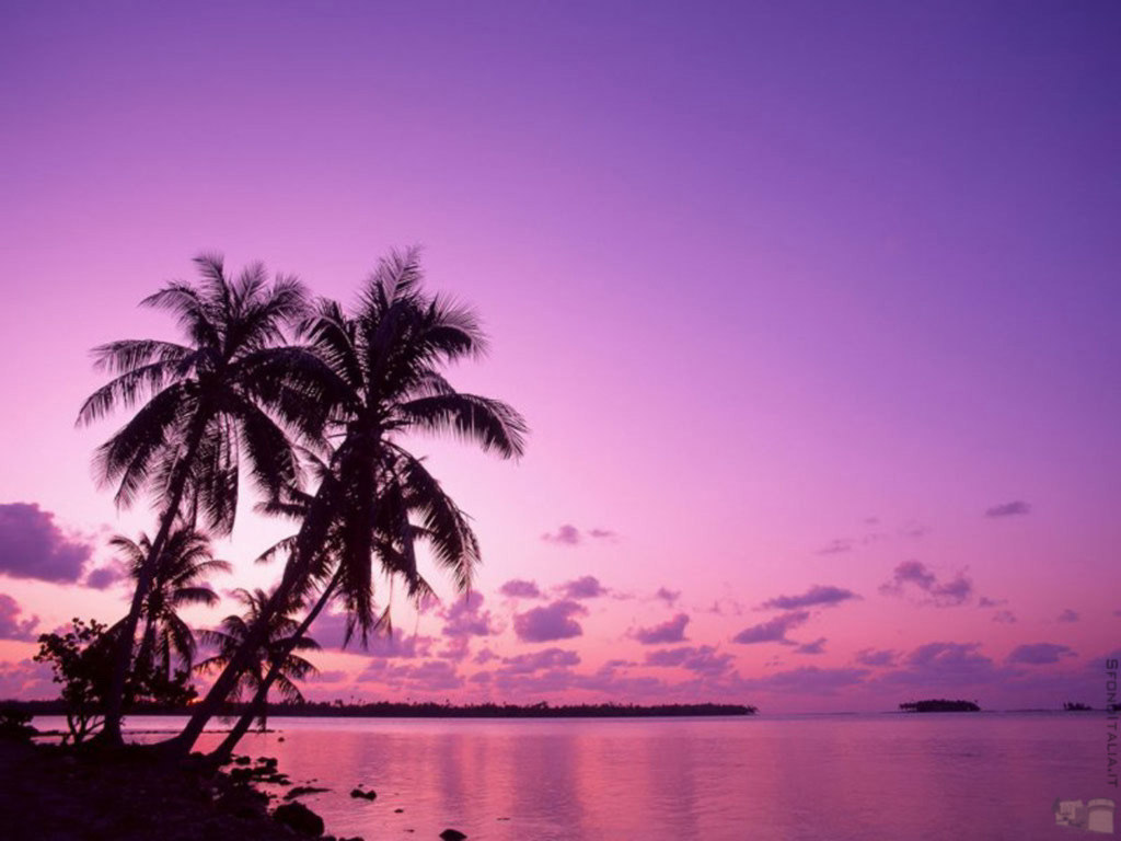 Purlple Sunset Wallpaper