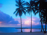 Tropical Storm Wallpaper